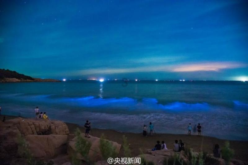 空中战队无敌版